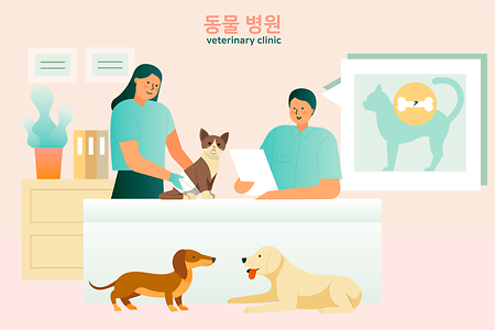 동물병원