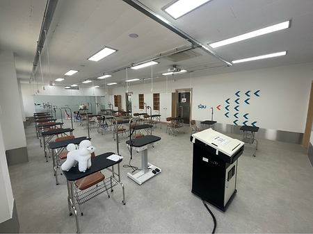 반려견의 털관리와 위생관리를 배울 미용실습실