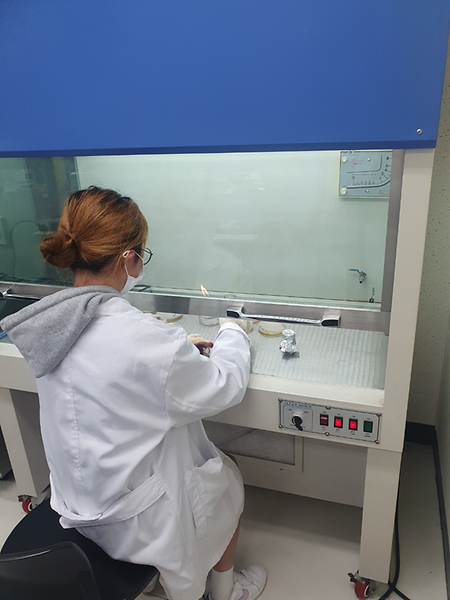 2020년도 하계  ABC lab 동아리 활동입니다.