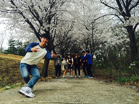 2015년 벚꽃구경