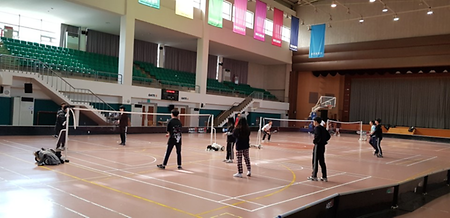 2017 멘토교수제