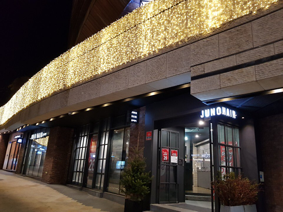 2011학번 정현진(준오헤어)