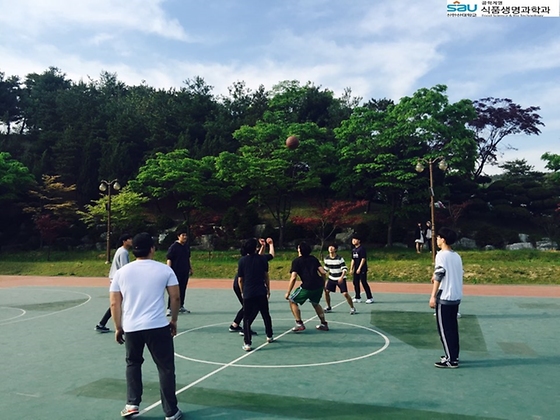[2016.04.29] 식품생명과학과 내 체육대회(농구)