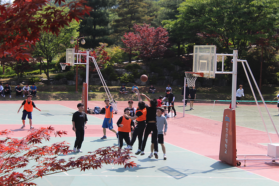 160511 줄다리기, 농구