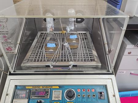 미생물 배양의 기본실험 수행중