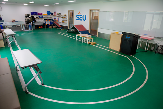 S.A.U 신안산대학교 반려동물과 실내 훈련장