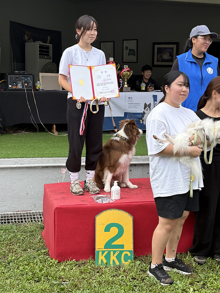 신안산대학교 - 훈련(전공) 펫-그라운드 동아리