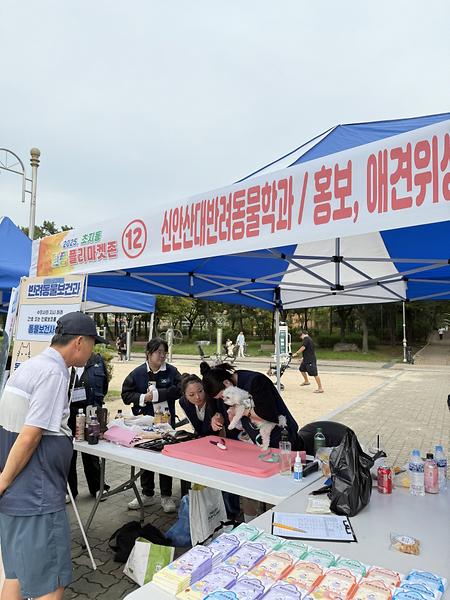 2025. 제7회 안산시 단원구 초지동 어울림 문화축제&단풍 플리마켓(반려동물과 - 봉사 스텝 활동ㆍ반려견 위생미용부스ㆍ학교홍보 부스)