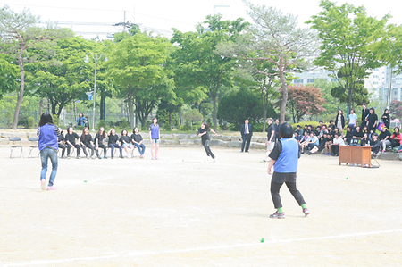 축제사진214