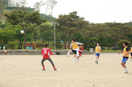 축제사진311