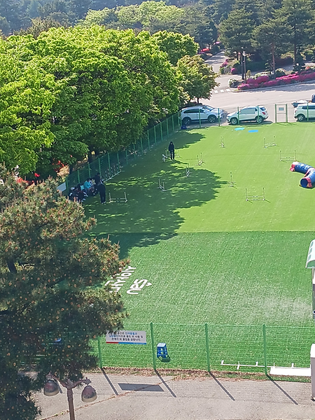 국제규격의 야외훈련장