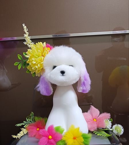 미용 캡스톤디자인 작품